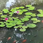 Nyaraló Serenity Garden - Polanica-zdroj *