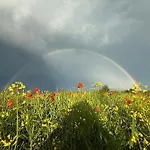 Holiday home Serenity Garden - Polanica-zdroj
