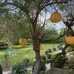 Serenity Garden - Polanica-zdroj *