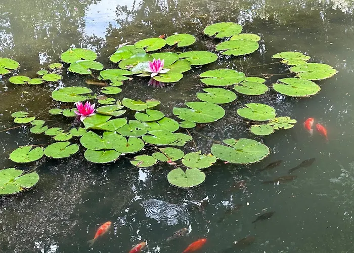 Semesterbostad Serenity Garden - Polanica-zdroj *