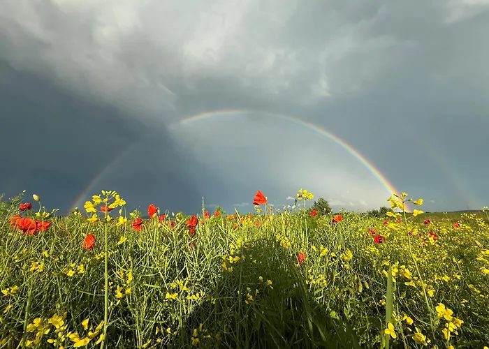 Hébergement de vacances Serenity Garden - Polanica-zdroj
